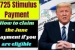 $725 Stimulus Payment